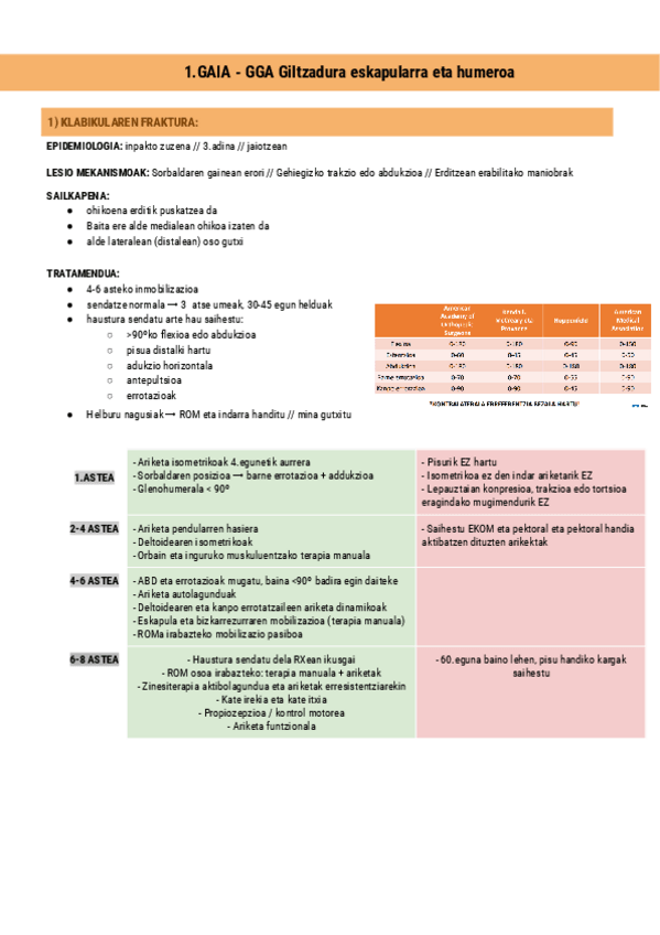 Miniatura del documento 1.GAIA-Giltzadura-eskapularra-eta-humeroa-Documentos-de-Google.pdf
