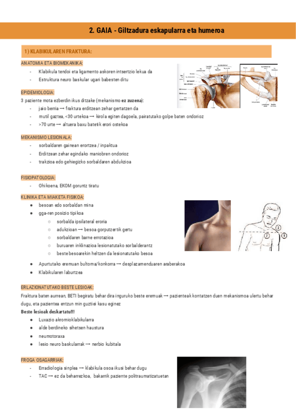 Miniatura del documento 2.GAIA-GGA-Sorbalda-Documentos-de-Google.pdf