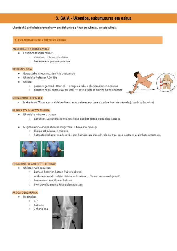 Miniatura del documento 3.GAIA-GGA-Ukondoa-eskumuturra-eta-eskua-Documentos-de-Google.pdf