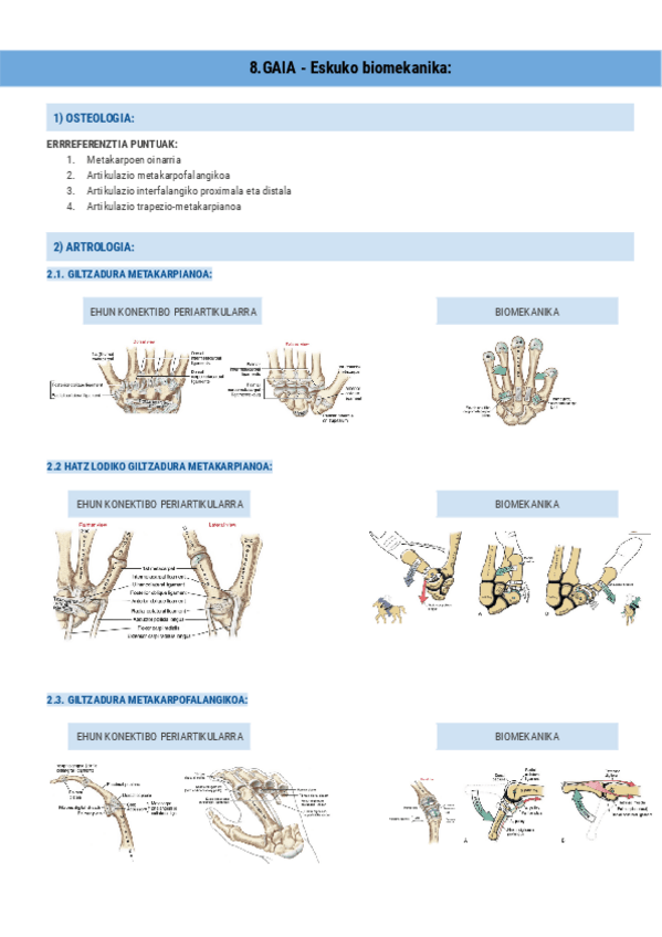 Miniatura del documento 8.GAIA-Eskuko-biomekanika-Documentos-de-Google.pdf