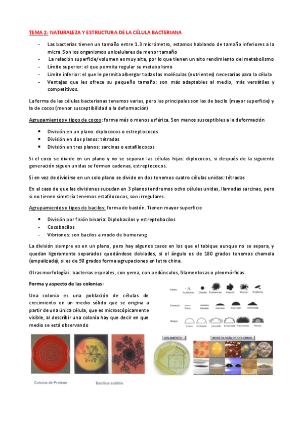 Miniatura del documento Temas-Micro-I-20222023.pdf