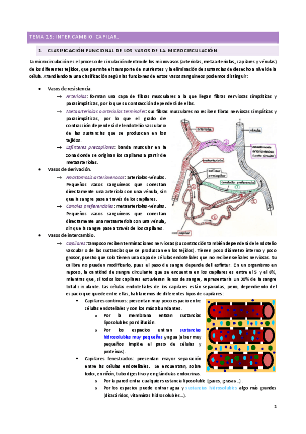 Miniatura del documento TEMA-15.pdf