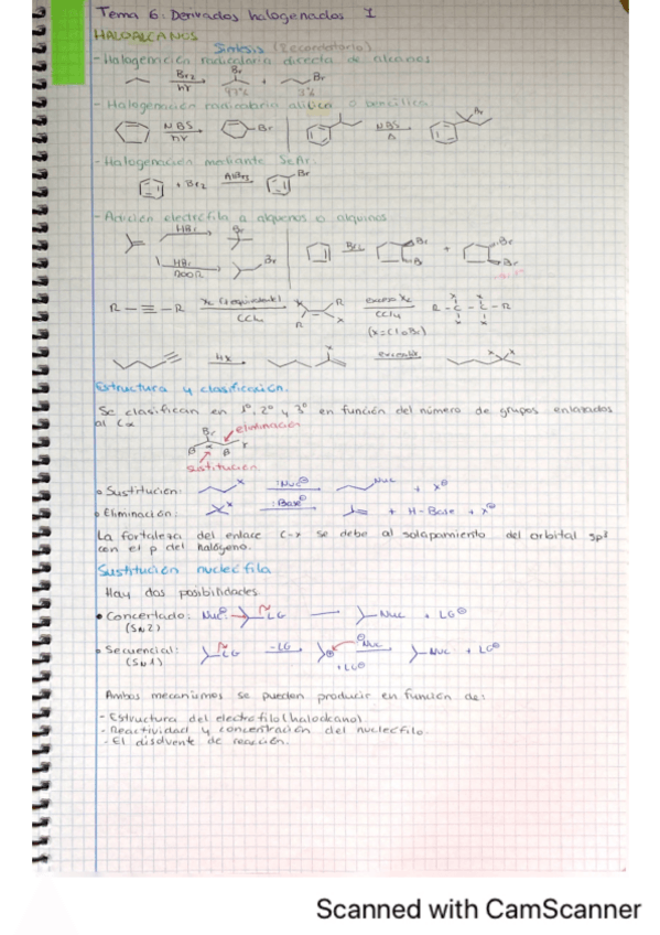 Miniatura del documento TEMA-6.pdf