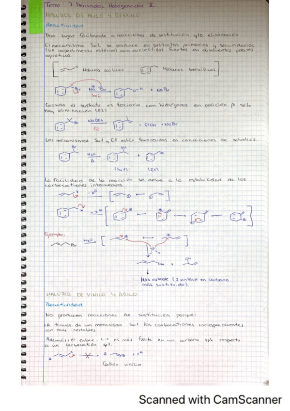 Miniatura del documento TEMA-7.pdf