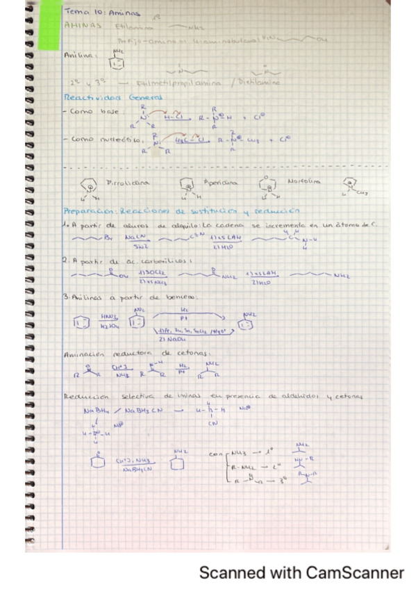 Miniatura del documento TEMA-10.pdf