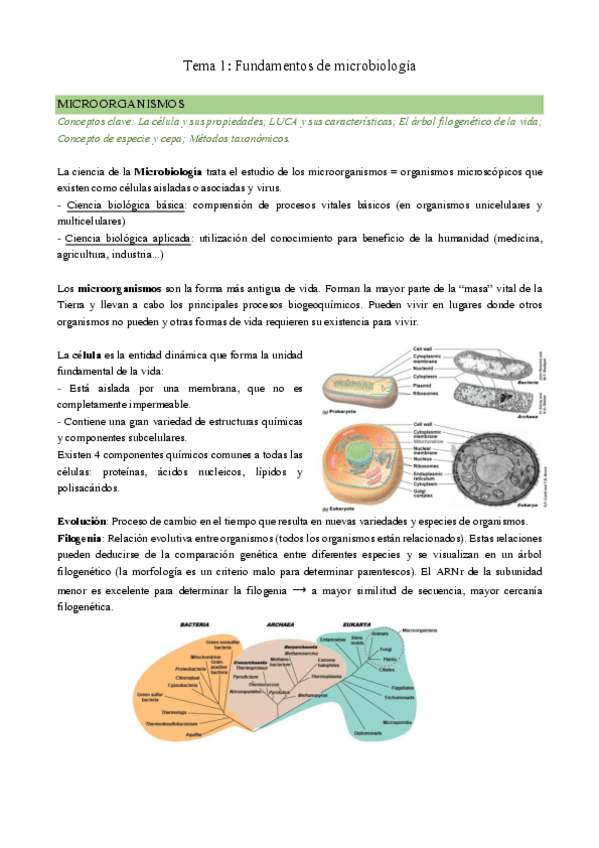 Miniatura del documento Parte-1.pdf