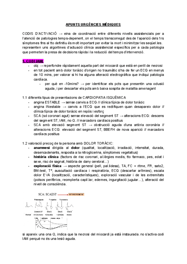 Miniatura del documento Apunts-URGENCIES-MEDIQUES-codis-i-escales.pdf
