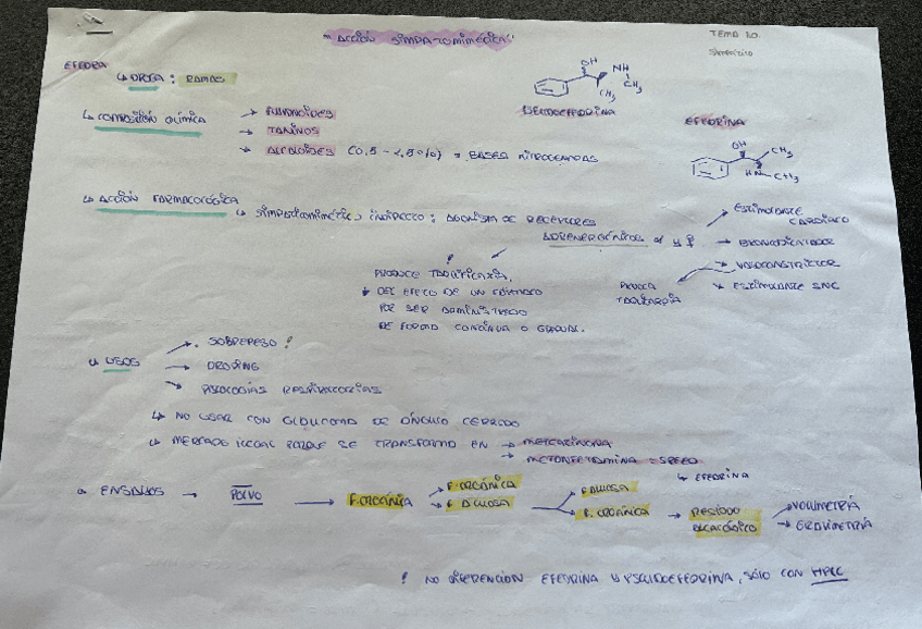 Miniatura del documento apuntes-tema-10.pdf