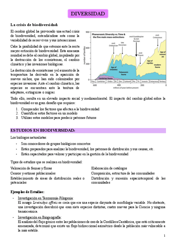 Miniatura del documento 4-Diversidad.pdf