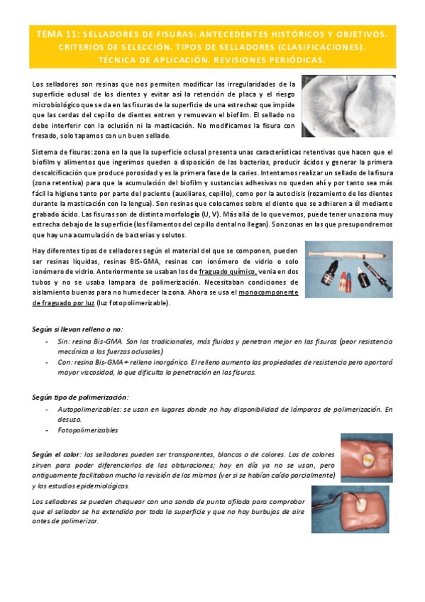 Miniatura del documento Preventiva-Tema-11.pdf