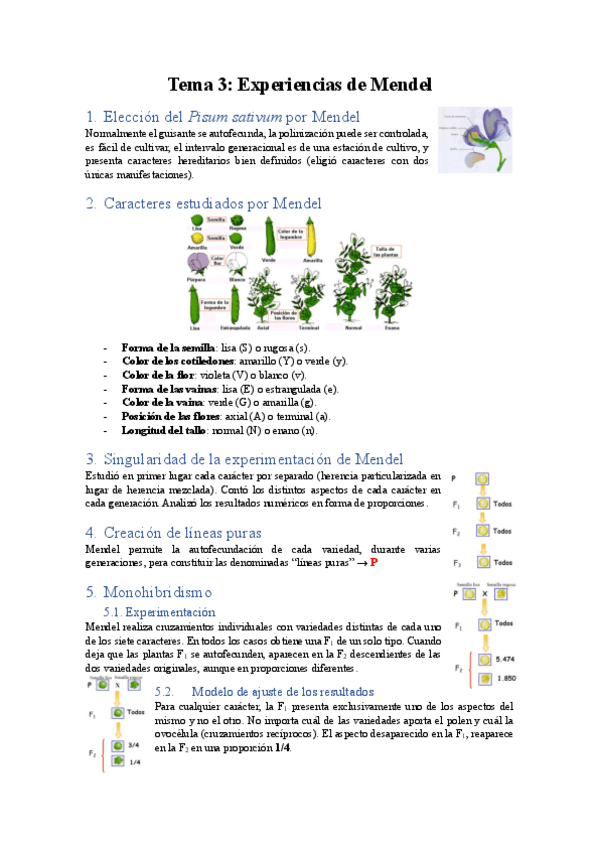 Miniatura del documento Tema-3.pdf