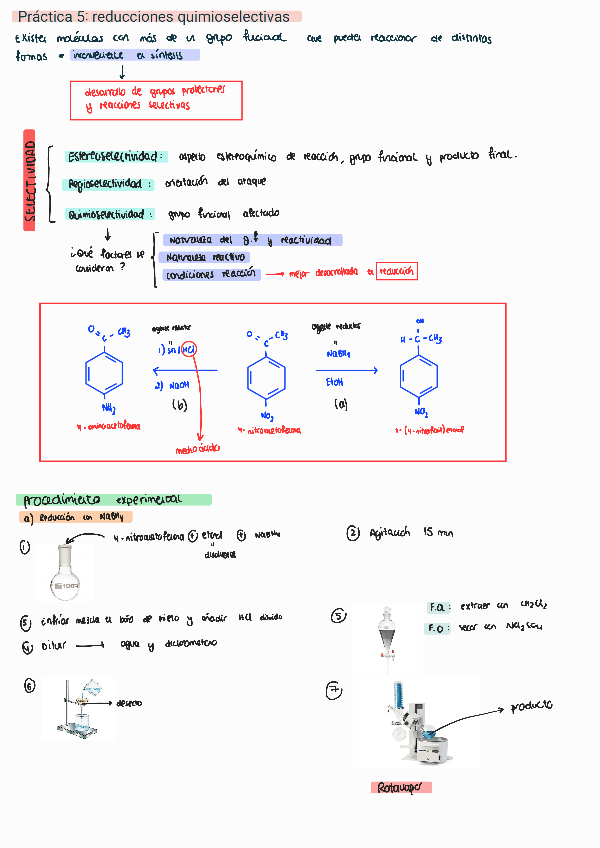 Miniatura del documento P5.pdf