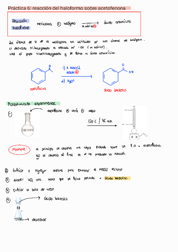 Miniatura del documento P6.pdf