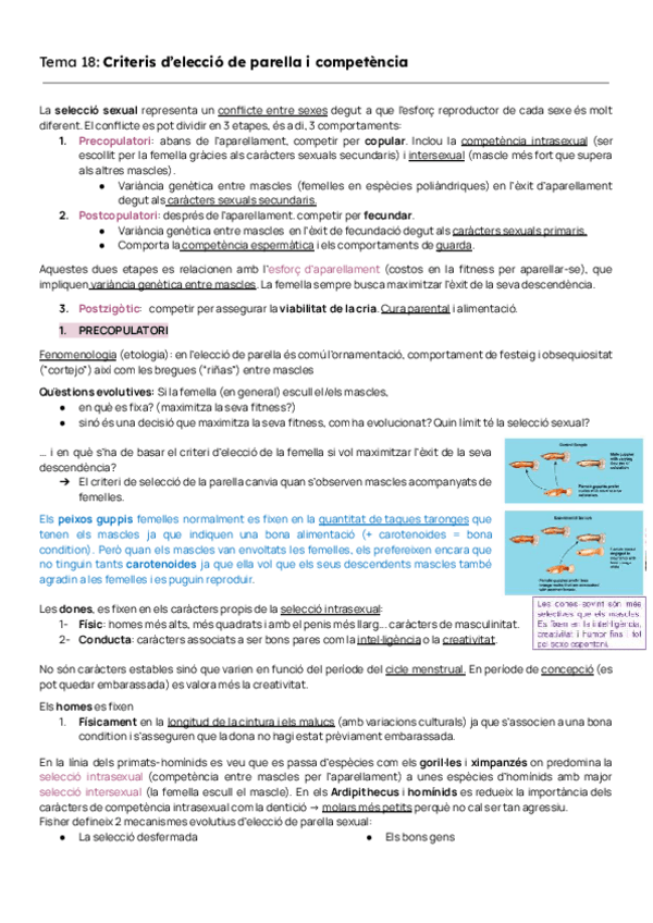 Miniatura del documento TEMAS-18-A-23-ECO-EVO.pdf