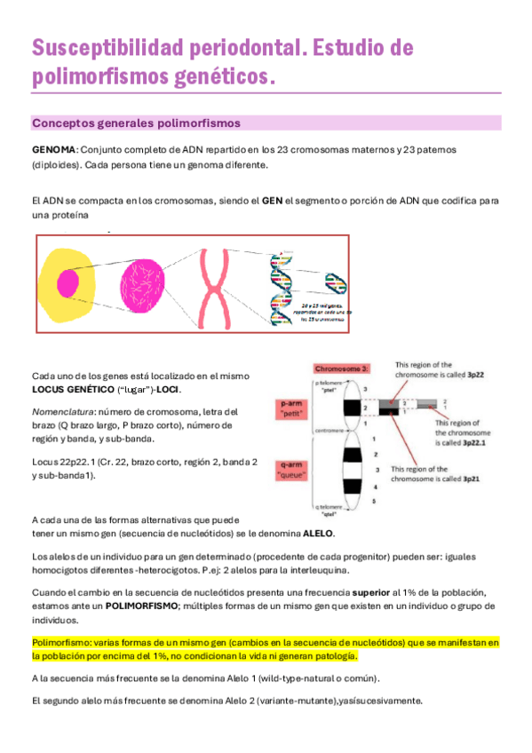 Miniatura del documento 9.-Susceptibilidad-periodontal.-Estudio-de-polimorfismos-geneticos..pdf