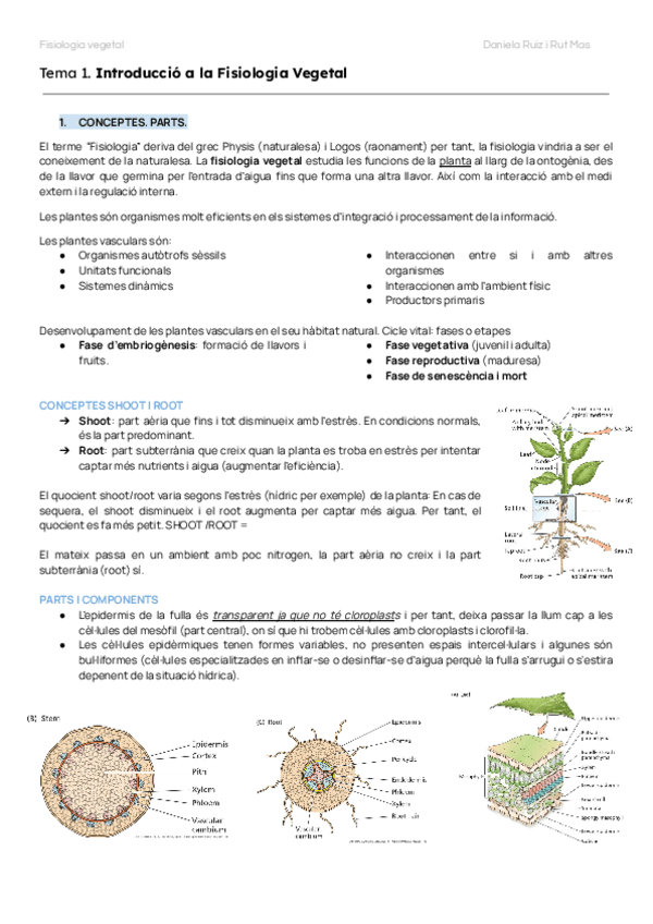 Miniatura del documento TEMAS-1-2-3-FISIO-VEG.pdf