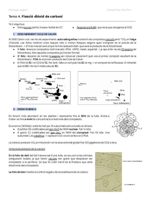Miniatura del documento TEMAS-4-5-6-FISIO-VEG.pdf