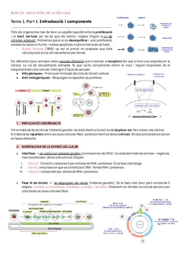 Miniatura del documento BLOC-IV-BIOCEL.pdf