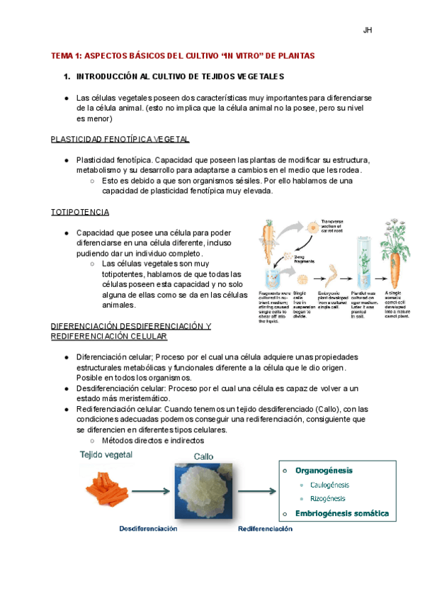 Miniatura del documento TEMA-1-ASPECTOS-BASICOS-DEL-CULTIVO-IN-VITRO-DE-PLANTAS.pdf