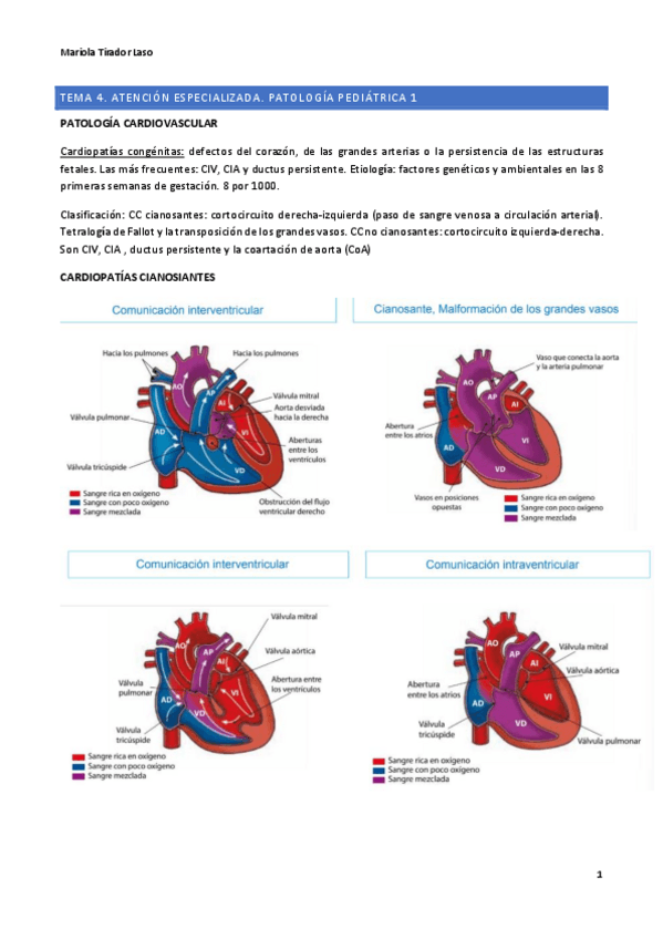 Miniatura del documento TEMA-4.-PATOLOGIA-PEDIATRICA-1-APUNTES.pdf