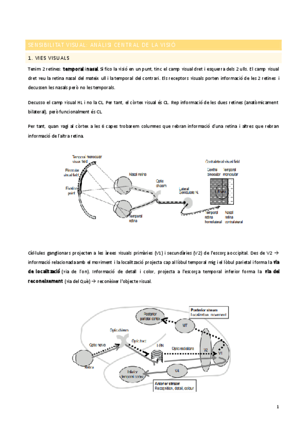Miniatura del documento Sensibilitat-visual.pdf