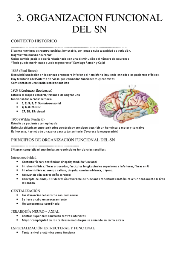 Miniatura del documento 3.-ORGANIZACION-SN-Y-NEUROPLASTICIDAD.pdf