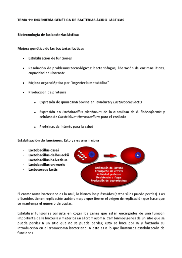 Miniatura del documento biotecnologia-parte-II-T.11-T.16.pdf