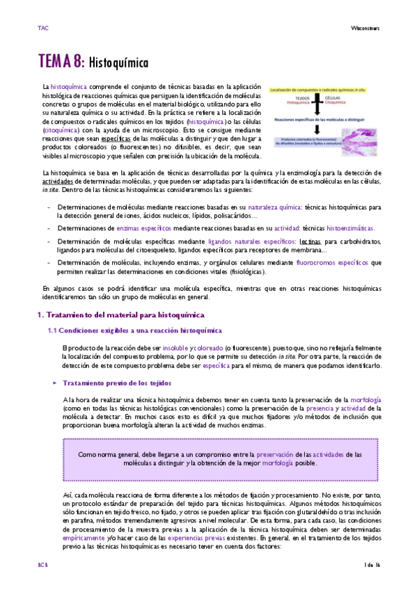 Miniatura del documento TEMA-8.pdf