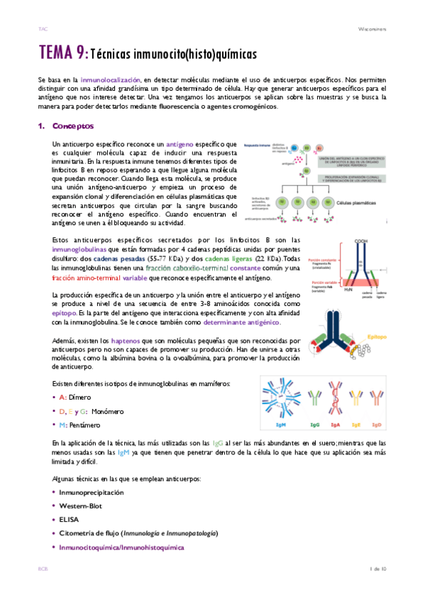Miniatura del documento TEMA-9.pdf