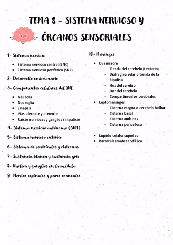 Miniatura del documento TEMA-8-SISTEMA-NERVIOSO.pdf