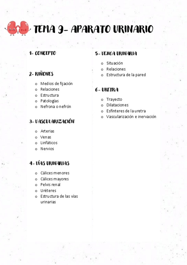 Miniatura del documento TEMA-9-APARATO-URINARIO.pdf