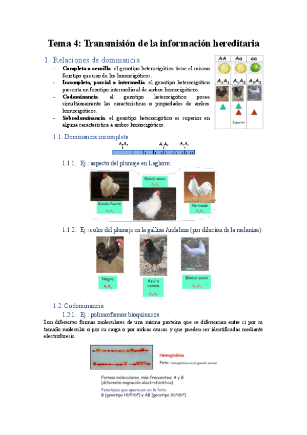 Miniatura del documento Tema-4.pdf