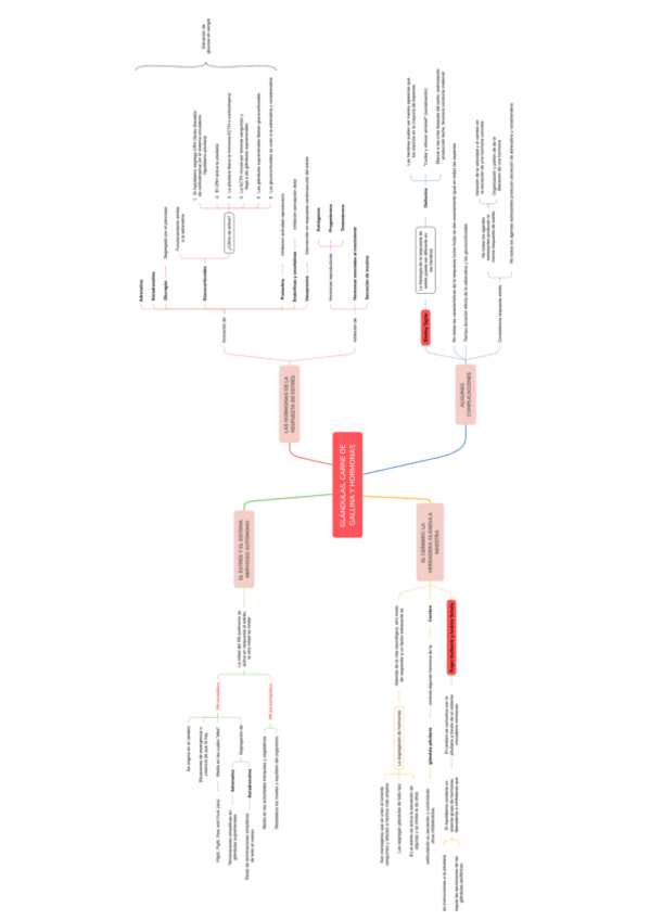 Miniatura del documento T1. Esquema lectura previa II.pdf