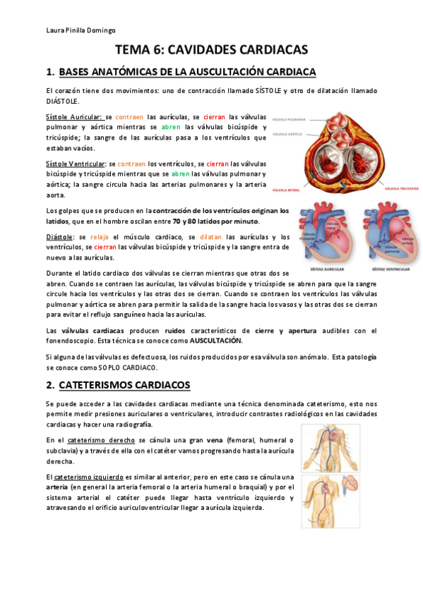 Miniatura del documento TEMA-6-Anatomia.pdf