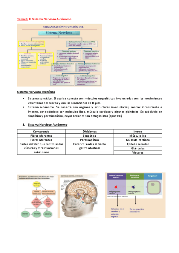 Miniatura del documento Tema-8-mancebo-20222023.pdf