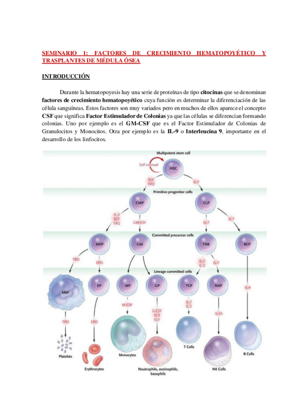 Miniatura del documento AP-SEM-1-INMUNO-WH.pdf