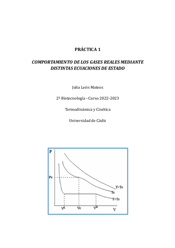 Miniatura del documento Informe-Practica-1.pdf
