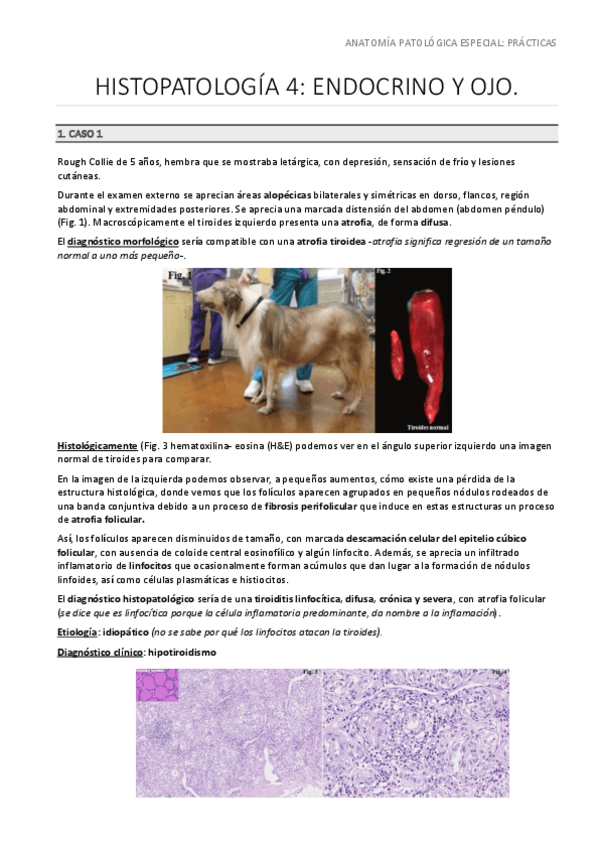 Miniatura del documento Informe-Practicas-4-5.pdf