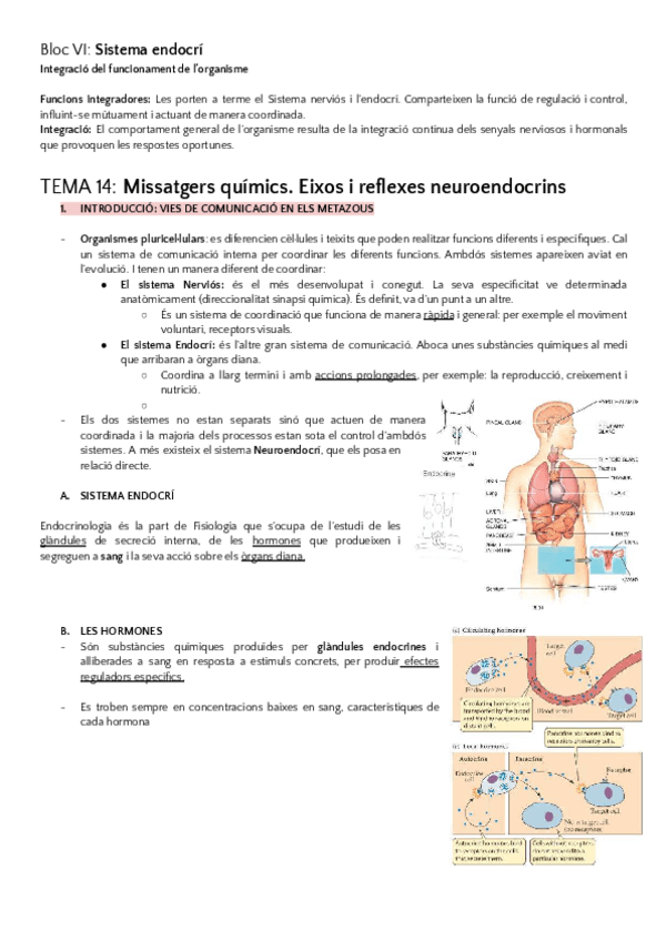 Miniatura del documento 2n-Parcial-Fisiologia-Animal-BLOC-6.pdf