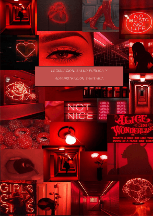 Miniatura del documento Legislacion.pdf