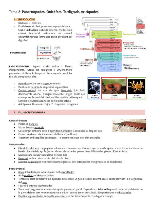 Miniatura del documento ZOOLOGIA-SEGON-SEMESTRE.pdf