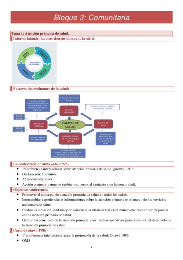 Miniatura del documento Comunitaria.pdf
