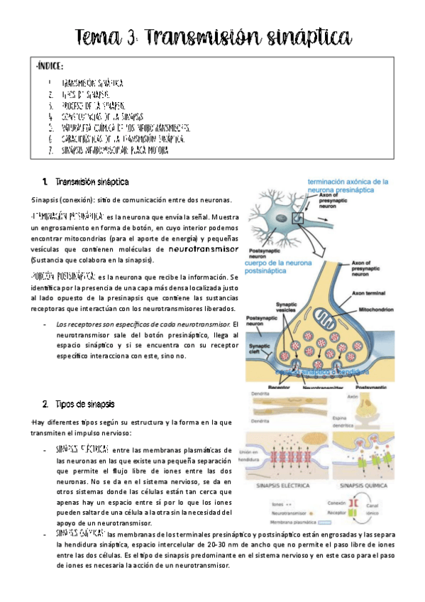 Miniatura del documento Tema-3-fisio-animal.pdf