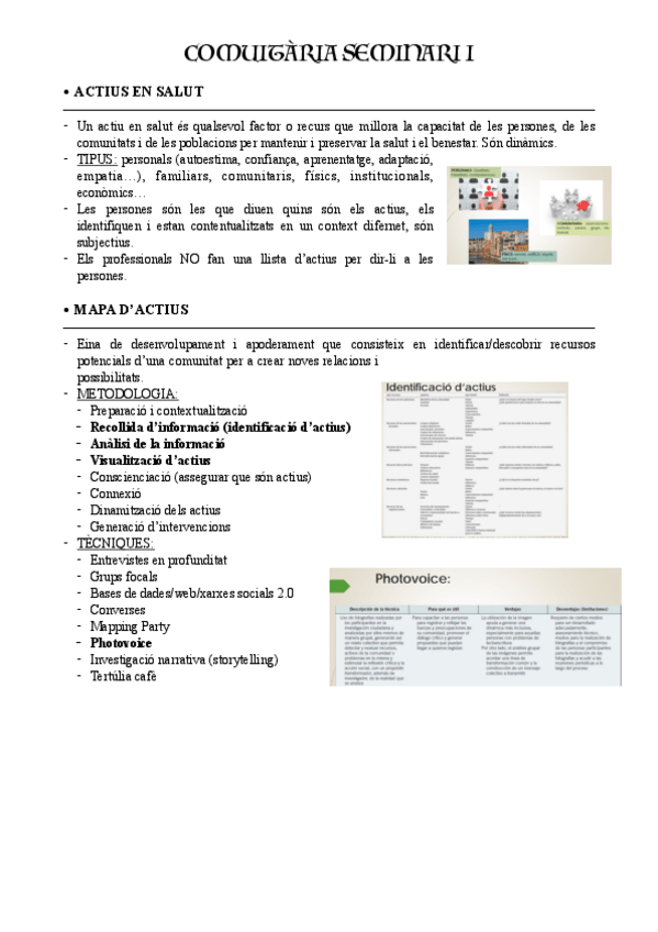Miniatura del documento SEMINARI-1-COMUNITARIA.pdf