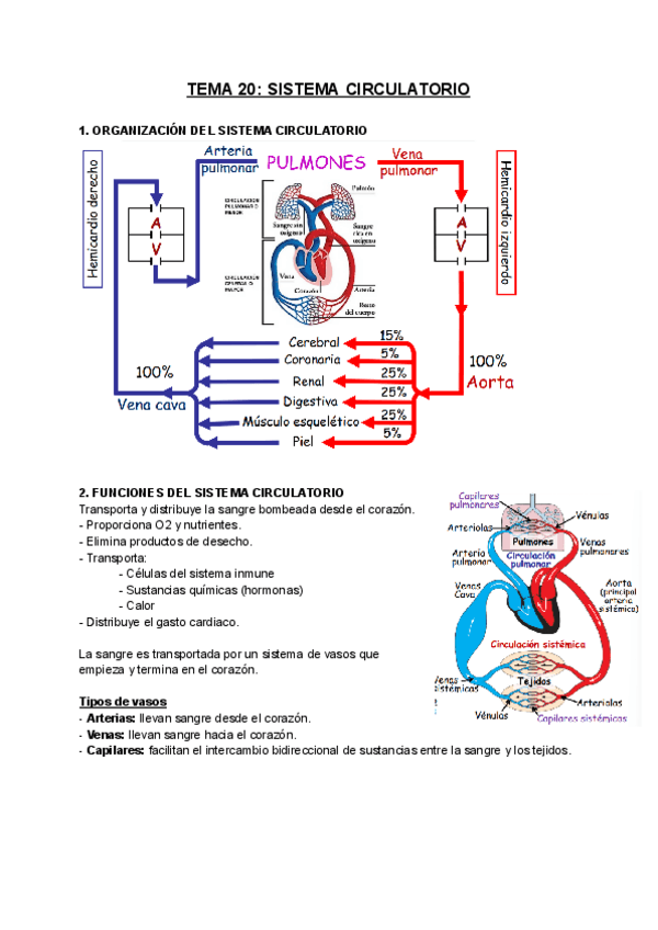 Miniatura del documento FISIOLOGIA-T20.pdf