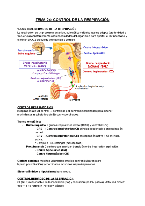 Miniatura del documento FISIOLOGIA-T24.pdf
