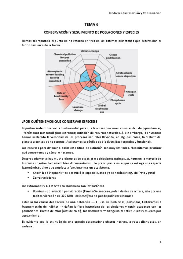 Miniatura del documento TEMA-6.pdf