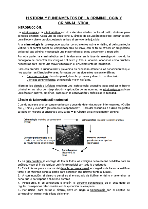 Miniatura del documento Introduccion-Historia.pdf