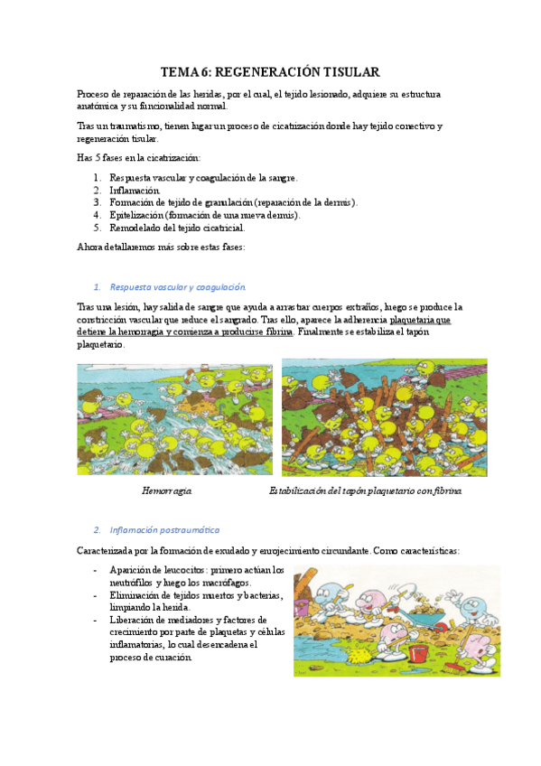 Miniatura del documento TEMA-6.pdf