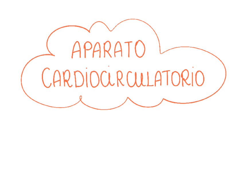 Miniatura del documento RESUMEN-APARATO-CARDIOCIRCULATORIO.pdf